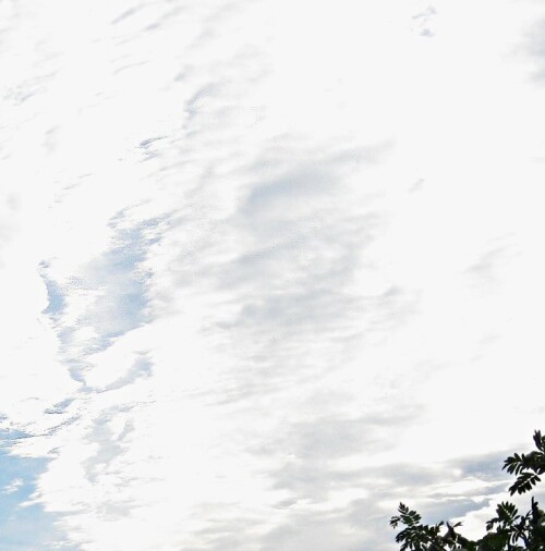 4e0c6cc601a22e7be059fd2b976efac0.jpg