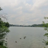 dbbb074d2ce4ee01578d957c46d73302