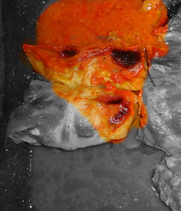 2b9aefcde2959465e4fb5fd10c539998.png