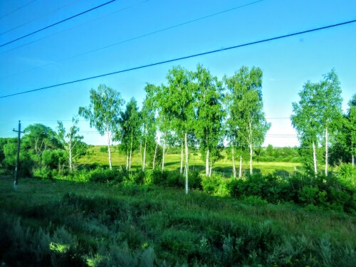 39d3daa2b8ff1e09ef396c338a57d5b7.jpg