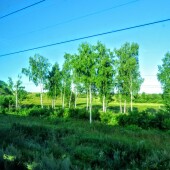 39d3daa2b8ff1e09ef396c338a57d5b7