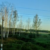 945531e78bd9ab7f61f38c921df8c5f3