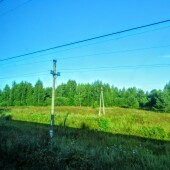 dbf8d13c53599a7b4b94f568c9d491a1