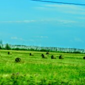 b31206f8a0de916a35a2420e20b3f891
