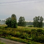 174d0e756b3a4718c63c75a2fb2a7bb7
