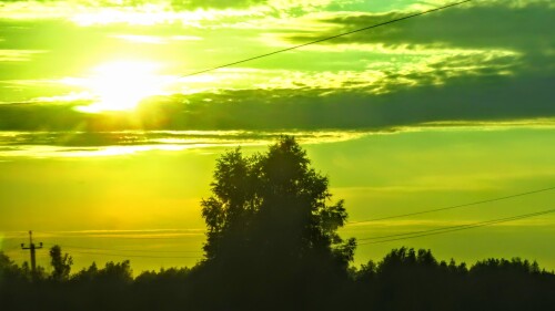 78857dbf988a61276c0a24c96477690e.jpg