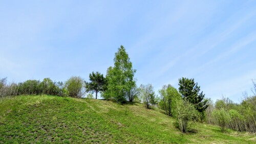 1d1b71634a342a66da3ec635e0da8b4c.jpg
