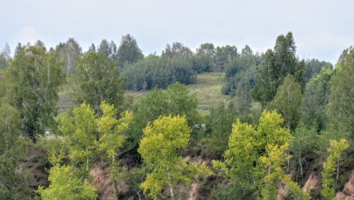 5ac653634c8c1e37c6eacb7e17295f52.jpg