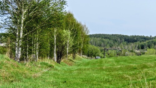 664f71da94508fcb6a8d7b953504513f.jpg