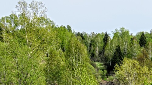 837a58ef93e5c6524f68efb9108f88c0.jpg