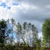 903420764f683f67169ab5db90289195