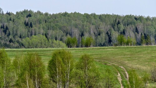 ab9d412be308cee35f89210057daa5e9.jpg
