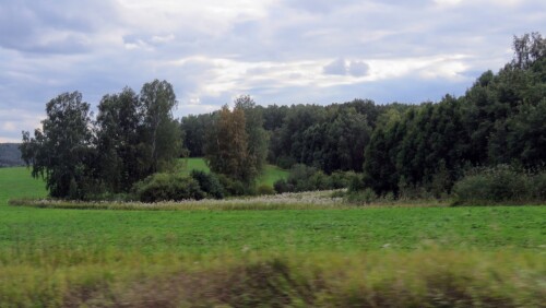 b7e62b6a5ca2887984b87c0cb370c721.jpg