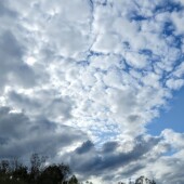 c2f369b6a76eba818450c668ea591957