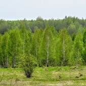 ce67f6e41e7ca13cfba40a9915093228