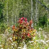 d925130d97173868d667e9aa3edc6af9