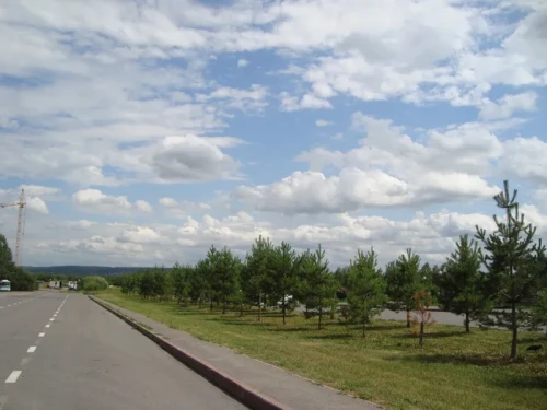 c6f5722672b692c752eb7dbb32aab06c.webp