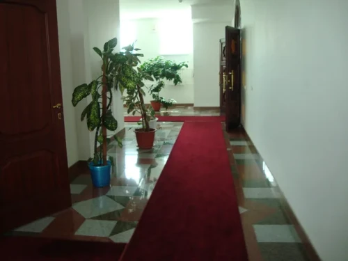 cdd63f6328077bf0dda0b0742bac1da9.webp