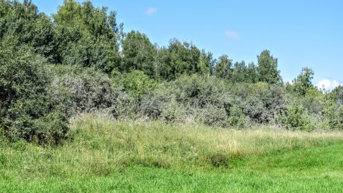 ab239aaa59f647ede31b7dedada44352.jpg