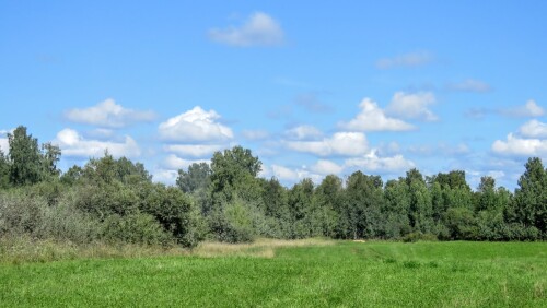 cd74ee6007ebd674aae0980b03308625.jpg