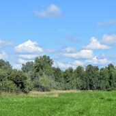 cd74ee6007ebd674aae0980b03308625