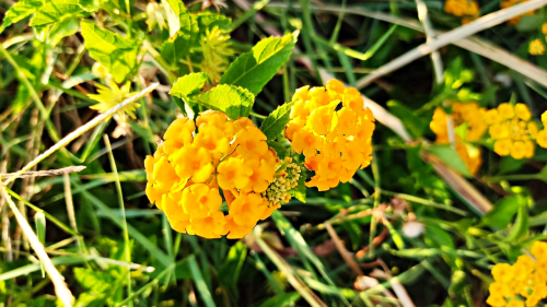 9b061b3e3a0b6ebe91501762ab630c19.png