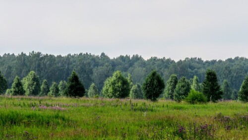 10818a6b088e990df694c729a88ca43a.jpg