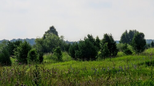 2aad24a3ee5c5a0e69631109abedc001.jpg
