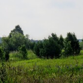 2aad24a3ee5c5a0e69631109abedc001
