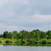 403b9519f28e2dee2bc0774b71d8b4f4