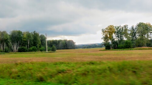 60e7dd5d279ddef0b9214f7c5b72110a.jpg