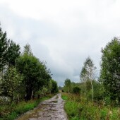 665bdd10674865a8e74a18534471e32b