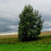 68e1611cc7fbf9b7a017402220aab577