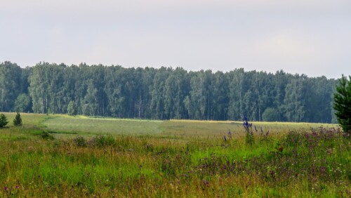 76e6092c0df807e7cae4a280abe80f4d.jpg
