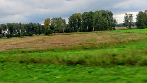 8177dc6077300ba21fc6d122546c1d3e.jpg