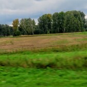 8177dc6077300ba21fc6d122546c1d3e