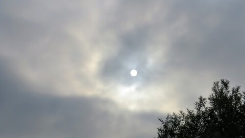 90261467486590efeb46fc8ad5bc8a6d.jpg