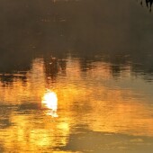 9579808fcf0e81aeb360faa1a2ca9065