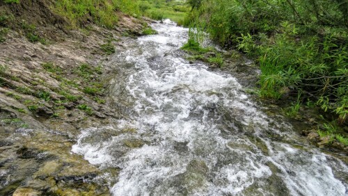 97665faefe75c016c283f5035394f354.jpg