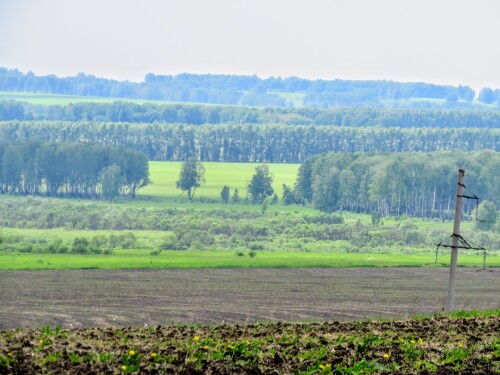 a04facb7c56e90a39006cca285e176e3.jpg
