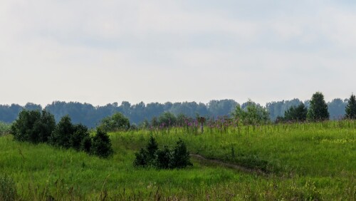 a29fb9b9584fd004af3a67e56083105d.jpg