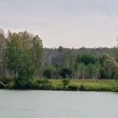 ae0f003e690461c10752d1265be54db3