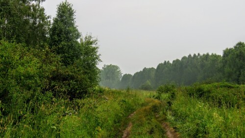 b003510be0f58f1739cf694406013ed4.jpg