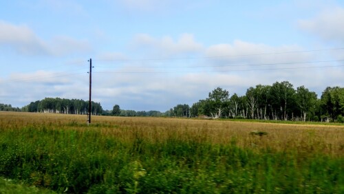 caf67db4666bd6b0a62ed2371e492c05.jpg