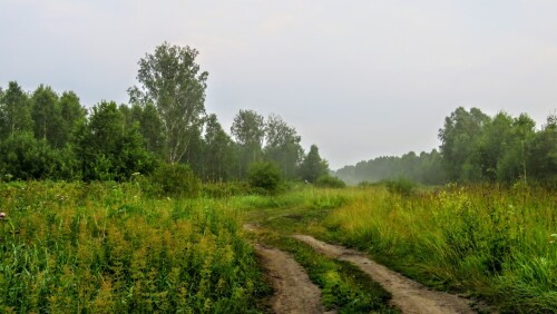 e688776c8d9f87e0d70e1748c98a61b3.jpg