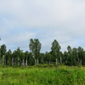 febed1d3d60fb984b5080a0042271691