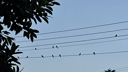 dedbea588f7d5e041fa51910e2bb08ab.png