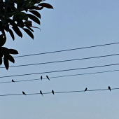 dedbea588f7d5e041fa51910e2bb08ab