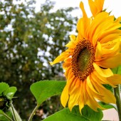 9b508bb6ce850bf642c1054aeae40142