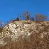 00e500e31b940d025f1e403aff5e387f